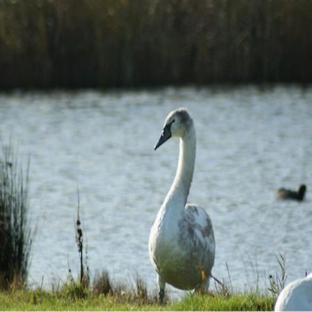 Auplands En-Suite Rooms Lymington Bagian luar foto