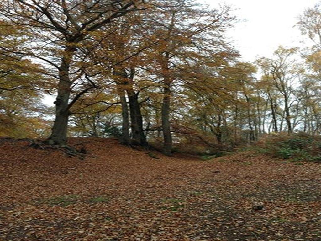 Auplands En-Suite Rooms Lymington Bagian luar foto