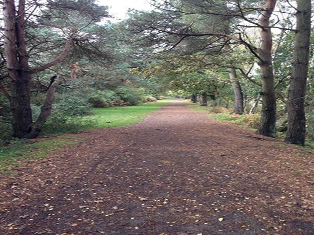 Auplands En-Suite Rooms Lymington Bagian luar foto