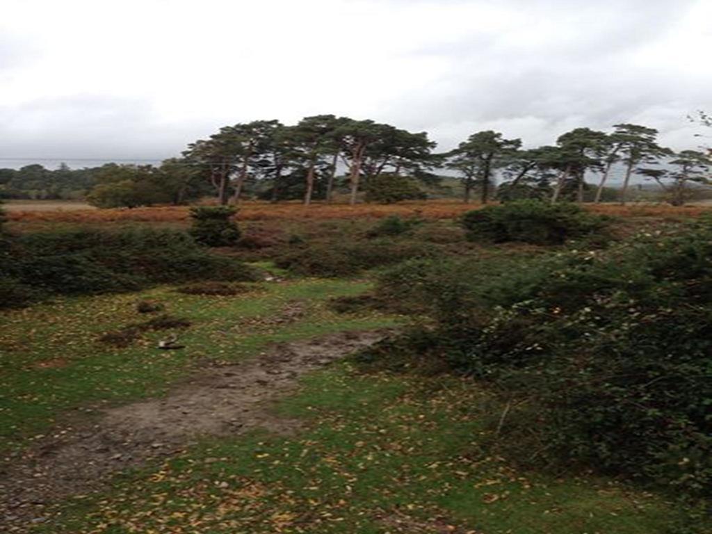 Auplands En-Suite Rooms Lymington Bagian luar foto
